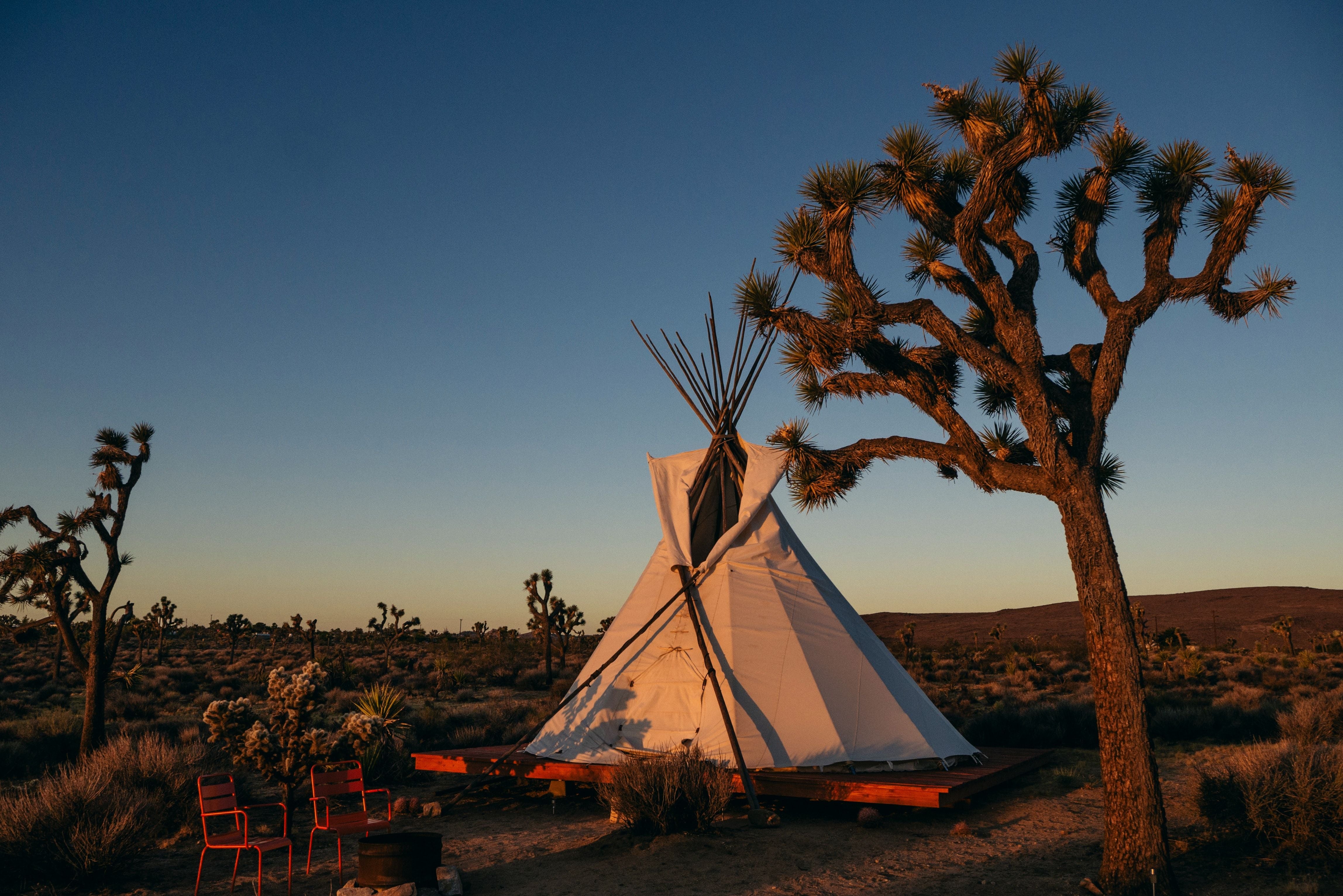 Best Glamping Spots in Queensland Best Glamping Spots in Queensland